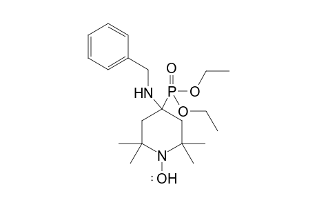 (Diethyl (4-(benzylamino)-2,2,6,6-tetramethylpiperidin-4-yl)phosphonate-1-yl)oxydanyl