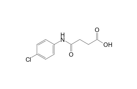 4'-chlorosuccinanilic acid