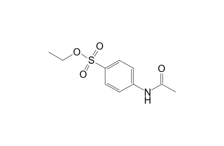 Benzenesulfonic acid, 4-(acetylamino)-, ethyl ester