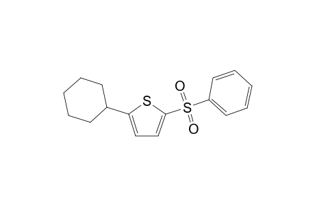 5-Cyclohexyl-2-phenylsulphonyl-thiophen