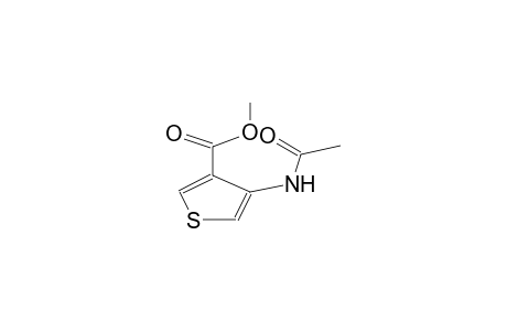 methyl 3-acetamido-thiophene-4-carboxylate