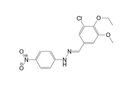 3-chloro-4-ethoxy-5-methoxybenzaldehyde (4-nitrophenyl)hydrazone