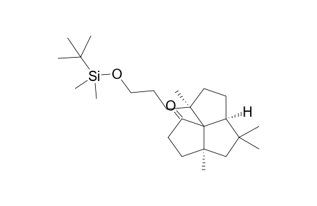 11.alpha.-(tert-butyldimethylsilyloxypropyl)-5.beta.,7,7,11.beta.-tetramethyl-8.alpha.-tricyclo(6.3.0.0(1,5))undecan-2-one