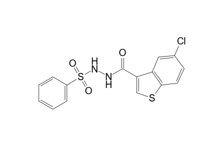 1-[(5-chlorobenzo[b]thien-3-yl)carbonyl]-2-(phenylsulfonyl)hydrazine