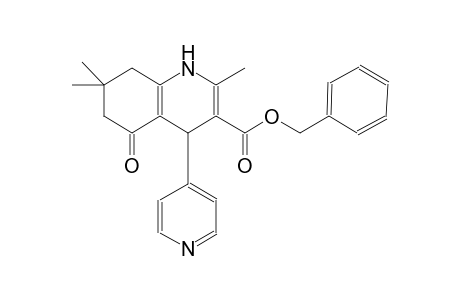 benzyl 2,7,7-trimethyl-5-oxo-4-(4-pyridinyl)-1,4,5,6,7,8-hexahydro-3-quinolinecarboxylate