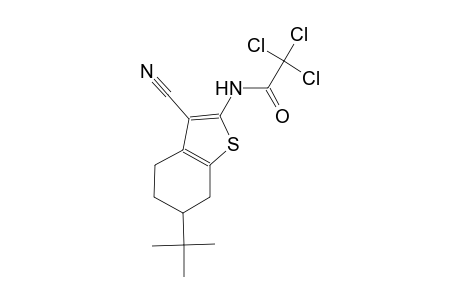 N-(6-tert-butyl-3-cyano-4,5,6,7-tetrahydro-1-benzothien-2-yl)-2,2,2-trichloroacetamide