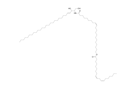 Cer 28:1;2O/21:1;O(FA 19:2)