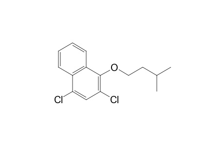 2,4-Dichloronaphth-1-yl 3-methylbutyl ether