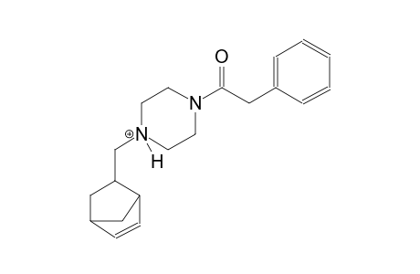 1-(bicyclo[2.2.1]hept-5-en-2-ylmethyl)-4-(phenylacetyl)piperazin-1-ium