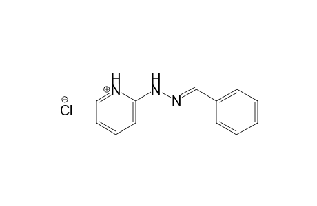 (E)-2-(2-benzylidenehydrazinyl)pyridin-1-ium chloride