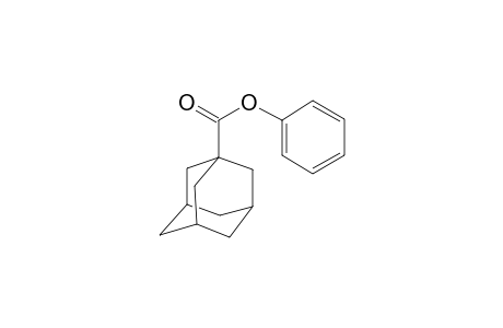 3-Adamantanecarboxylic acid, phenyl ester