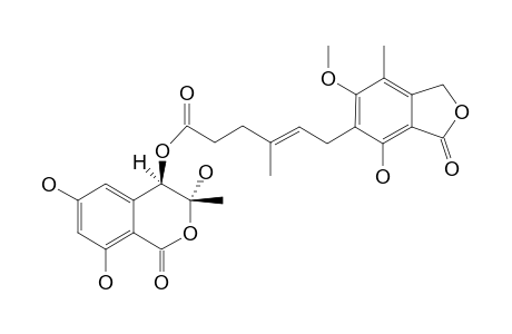 F13459;3,4-DIHYDRO-3,4,6,8-TETRAHYDROXY-3-METHYL-1H-2-BENZOPYRAN-1-ONE-4-O-MYCOPHENOLATE;MAJOR-ISOMER