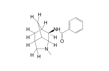 N-(1-methyloctahydro-3,5-methanocyclopenta[b]pyrrol-6-yl)benzamide