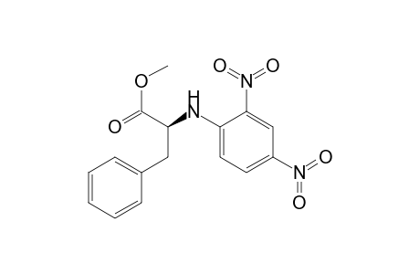 DNP-phenylalanine methyl ester