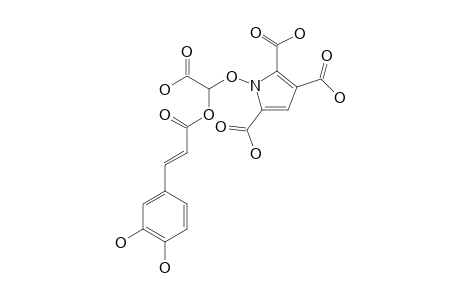 1-[(CAFFEOYLOXY)-(CARBOXY)-METHOXY]-1H-PYRROLE-2,3,5-TRICARBOXYLIC-ACID