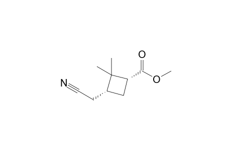 (1R,3R)-3-(cyanomethyl)-2,2-dimethyl-1-cyclobutanecarboxylic acid methyl ester