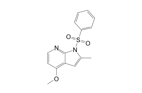 4-Methoxy-2-methyl-1-(phenylsulfonyl)pyrrolo[2,3-b]pyridine