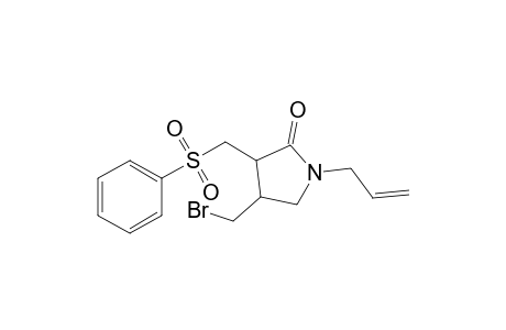N-Allyl-4-(bromomethyl)-3-[(phenylsulfonyl)methyl]-2-pyrrolidone
