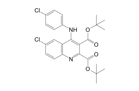 Di-tert-butyl 6-chloro-4-((4-chlorophenyl)amino)quinoline-2,3-dicarboxylate