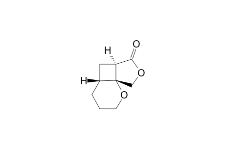 2,10-Dioxatricyclo[6.3.0.0(1,6)]decan-9-one