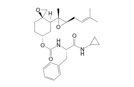 [(3R,4S,6R)-4-[(2R,3R)-2-methyl-3-(3-methylbut-2-enyl)oxiran-2-yl]-1-oxaspiro[2.5]octan-6-yl] N-[(1S)-1-benzyl-2-(cyclopropylamino)-2-oxo-ethyl]carbamate