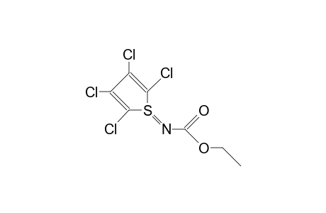 2,3,4,5-Tetrachloro-thiophene S-(ethoxycarbonyl-imide)