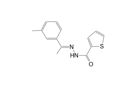 N'-[(E)-1-(3-methylphenyl)ethylidene]-2-thiophenecarbohydrazide