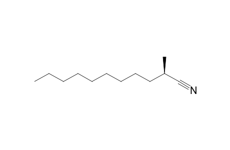 (R)-2-Methylundecanenitrile