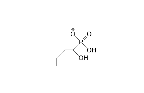 1-Hydroxy-3-methyl-butyl-phosphonic acid, monoanion