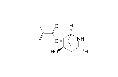 2-Butenoic acid, 2-methyl-, 3-hydroxy-8-azabicyclo[3.2.1]oct-6-yl ester, [1S-[1.alpha.,3.beta.,5.alpha.,6.alpha.(E)]]-