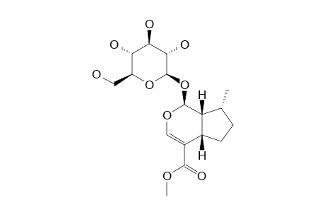 7-DEOXY-8-EPI-LOGANIN