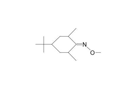 cis-2,6-Dimethyl-trans-4-tert-butyl-cyclohexanone O-methyl-oxime