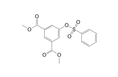 1,3-Benzenedicarboxylic acid, 5-[(phenylsulfonyl)oxy]-, dimethyl ester