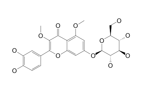 CARYATIN-7-O-BETA-D-GLUCOPYRANOSIDE;QUERCETIN-3,5-DIMETHYLETHER-7-O-BETA-D-GLUCOPYRANOSIDE