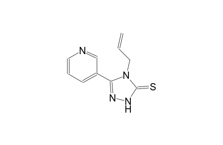 4-Allyl-3-(3-pyridyl)-1H-1,2,4-triazole-5-thione