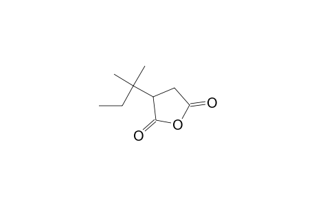 2,5-Furandione, 3-(1,1-dimethylpropyl)dihydro-