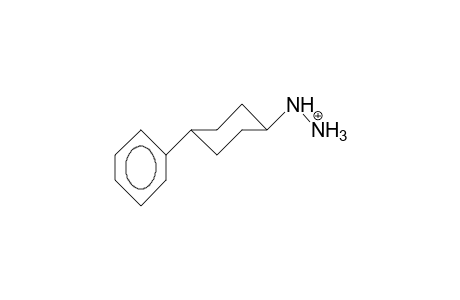 trans-4-Phenyl-cyclohexylhydrazinium cation