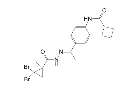 N-(4-{(1E)-N-[(2,2-dibromo-1-methylcyclopropyl)carbonyl]ethanehydrazonoyl}phenyl)cyclobutanecarboxamide