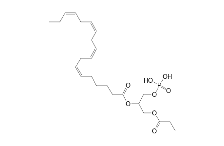 PA 3:0_18:4