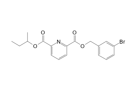2,6-Pyridinedicarboxylic acid, 3-bromobenzyl but-2-yl ester
