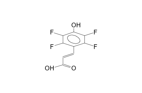 TRANS-4-HYDROXY-2,3,5,6-TETRAFLUOROCINNAMIC ACID