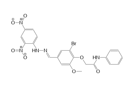 2-(2-bromo-4-{(E)-[(2,4-dinitrophenyl)hydrazono]methyl}-6-methoxyphenoxy)-N-phenylacetamide