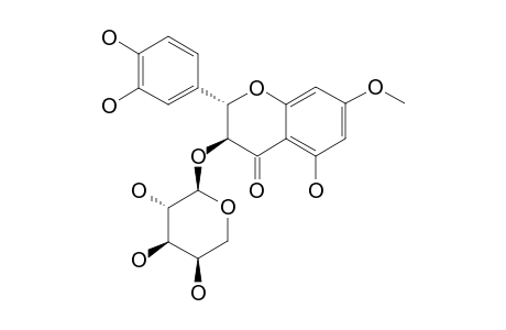 (2R,3R)-DIHYDRORHAMNETIN-3-O-BETA-D-ARABINOPYRANOSIDE