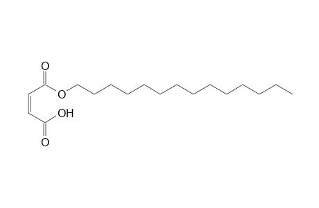 Maleic acid, monotetradecyl ester
