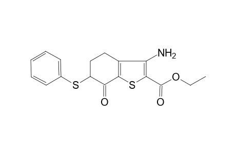 Benzothiophene-2-carboxilic acid, 4, 5, 6, 7-tetrahydro-3-amino-7-oxo-6-phenylthio-, ethyl ester-