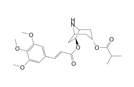 Nortropane-3.alpha.,7.beta.-diol 3-(2'-methylpropanoate) 7-cis(3",4",5"-trimethoxycinnamate)