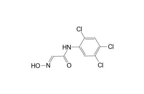 (2E)-2-hydroximino-N-(2,4,5-trichlorophenyl)acetamide