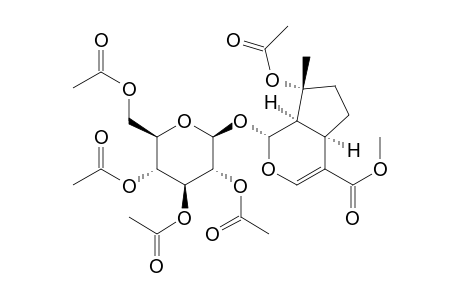 Cyclopenta[c]pyran-4-carboxylic acid, 7-(acetyloxy)-1,4a,5,6,7,7a-hexahydro-7-methyl-1-[(2,3,4,6-tetra-O-ac etyl-.beta.-D-glucopyranosyl)oxy]-, methyl ester, [1S-(1.alpha.,4a.alpha.,7.beta.,7a.alpha.)]-