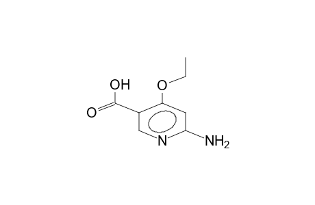 4-ethoxy-6-aminonicotinic acid