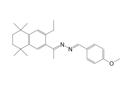 4-methoxybenzaldehyde [(E)-1-(3-ethyl-5,5,8,8-tetramethyl-5,6,7,8-tetrahydro-2-naphthalenyl)ethylidene]hydrazone
